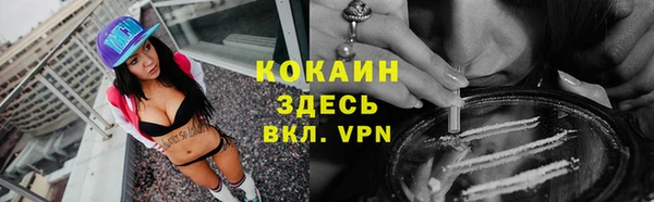 эйфоретик Горняк