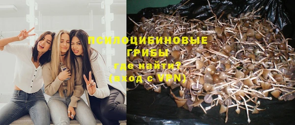 МДПВ Горнозаводск