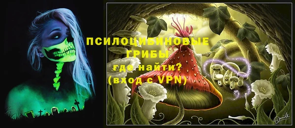 МДПВ Горнозаводск
