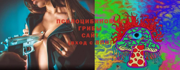 эйфоретик Горняк