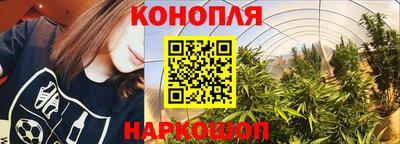 каннабис Малгобек